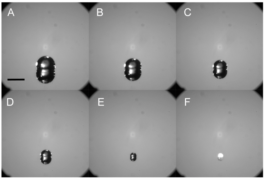 Sensors 15 29618 g002 1024