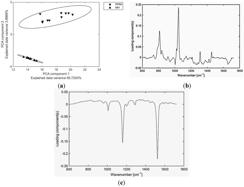 Sensors 15 29635 g003 1024