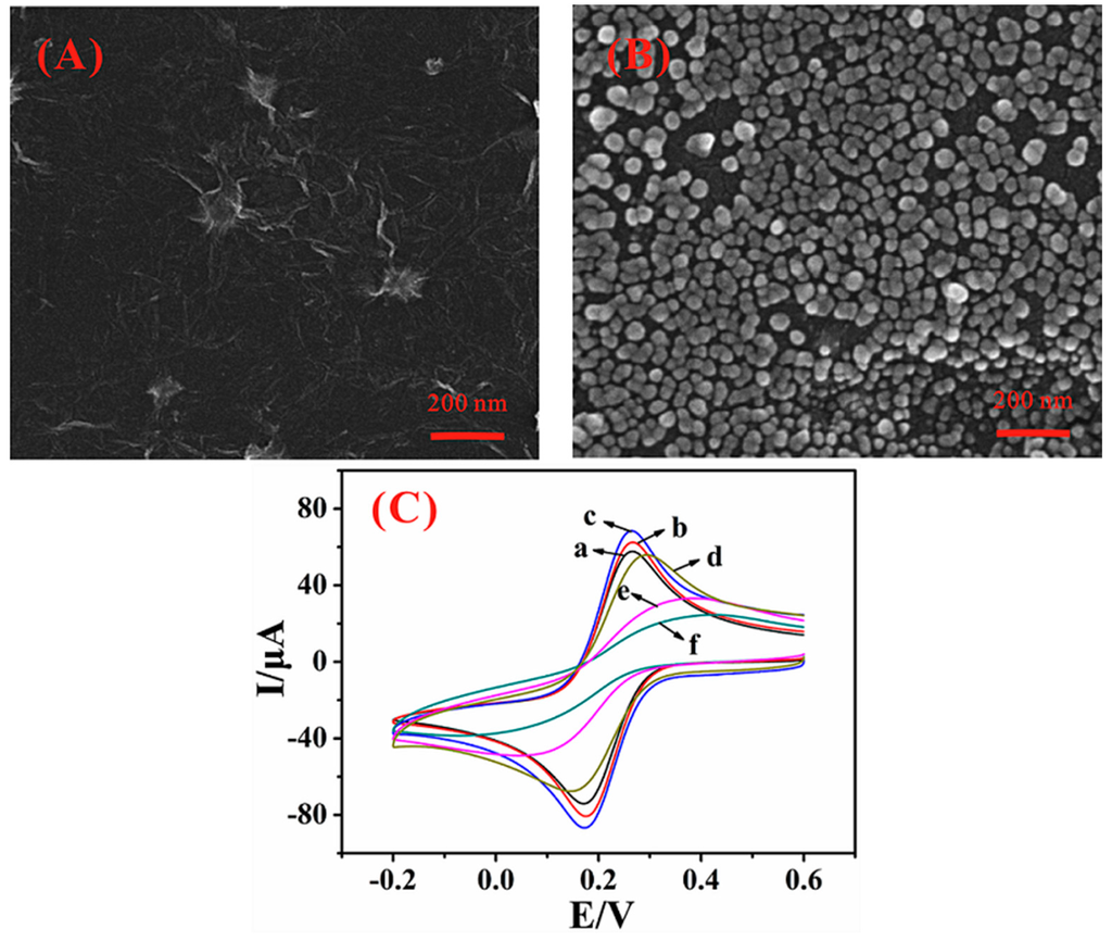 Sensors 15 29773 g001 1024
