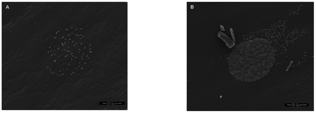 Sensors 15 29807 g004 1024