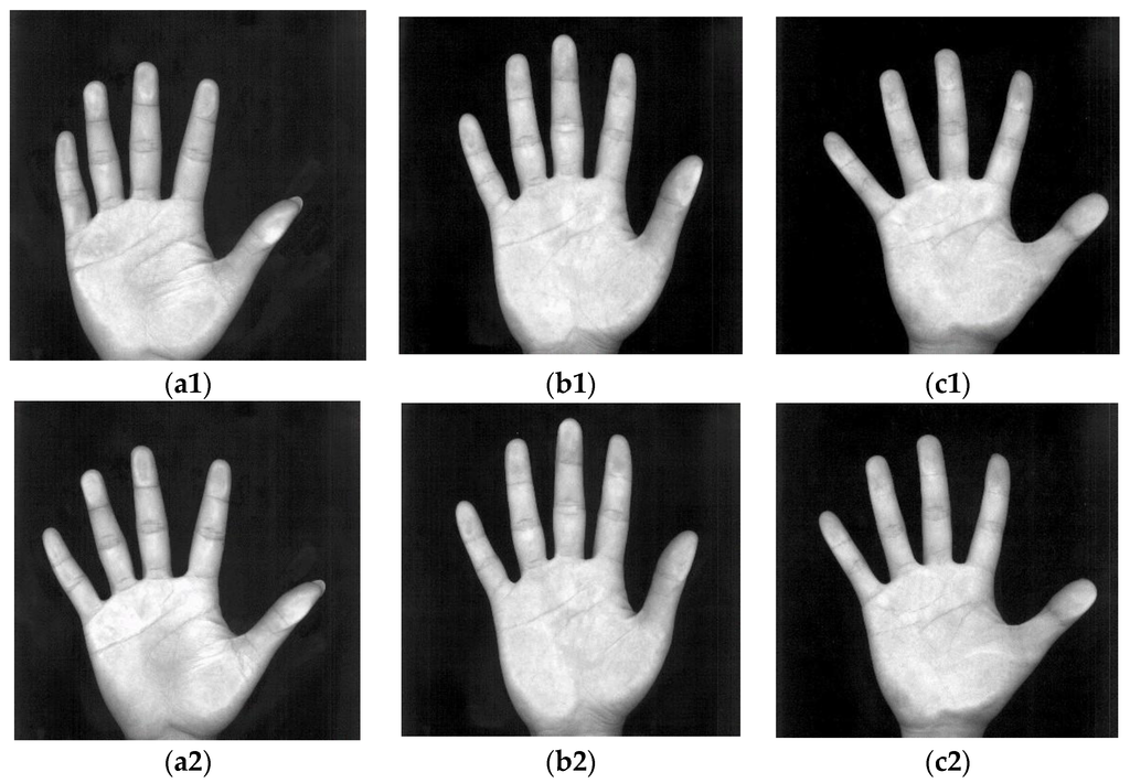 Sensors 15 29856 g002a 1024