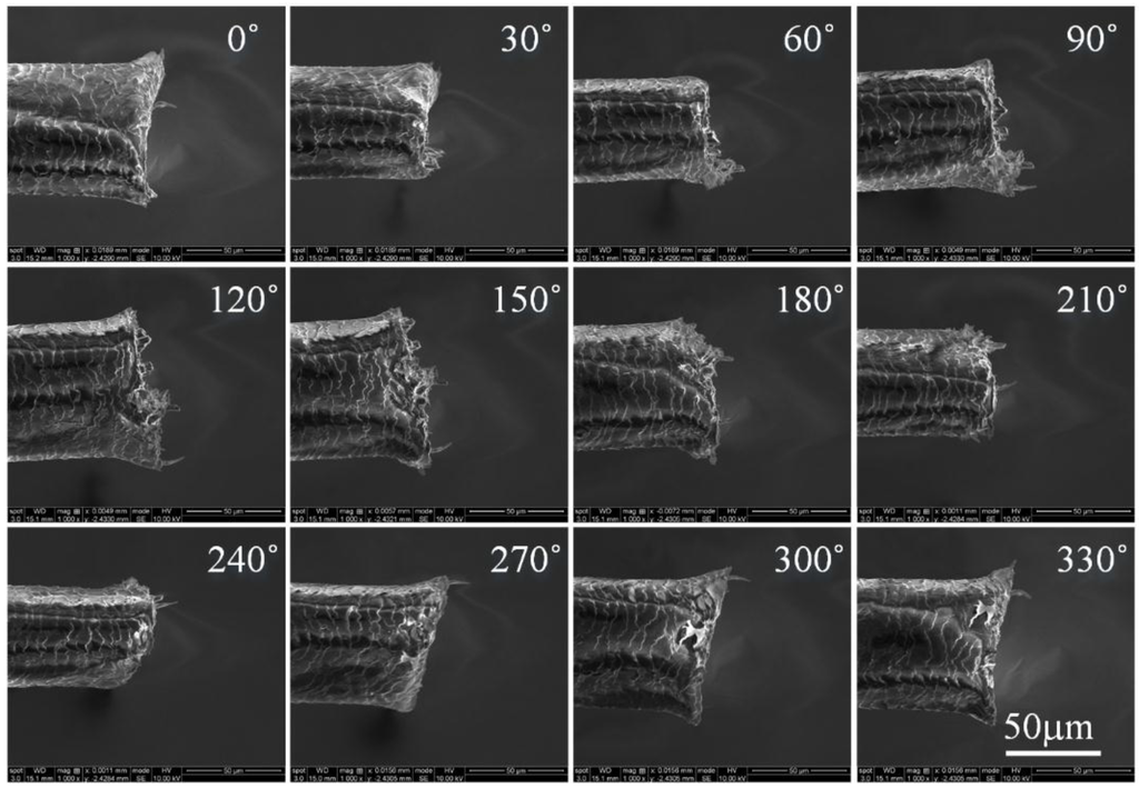 Sensors 15 29872 g007 1024