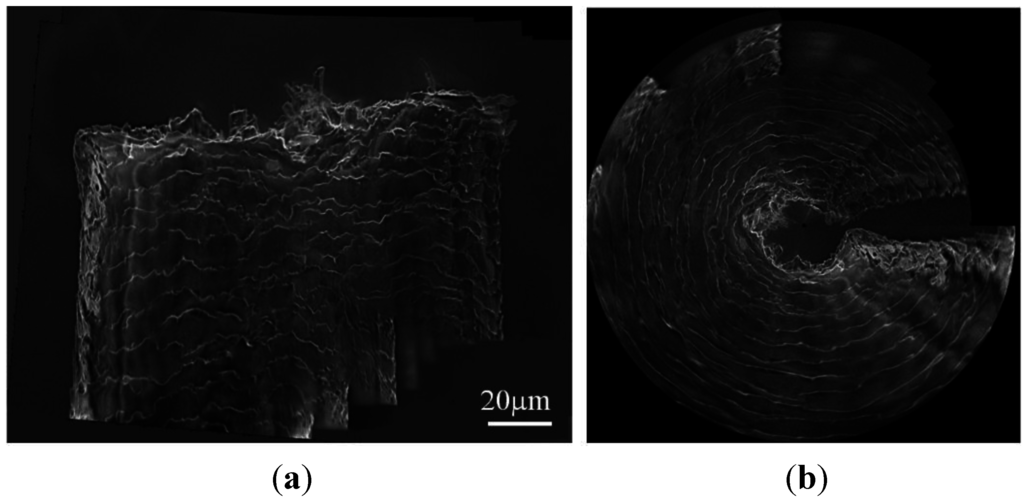 Sensors 15 29872 g008 1024