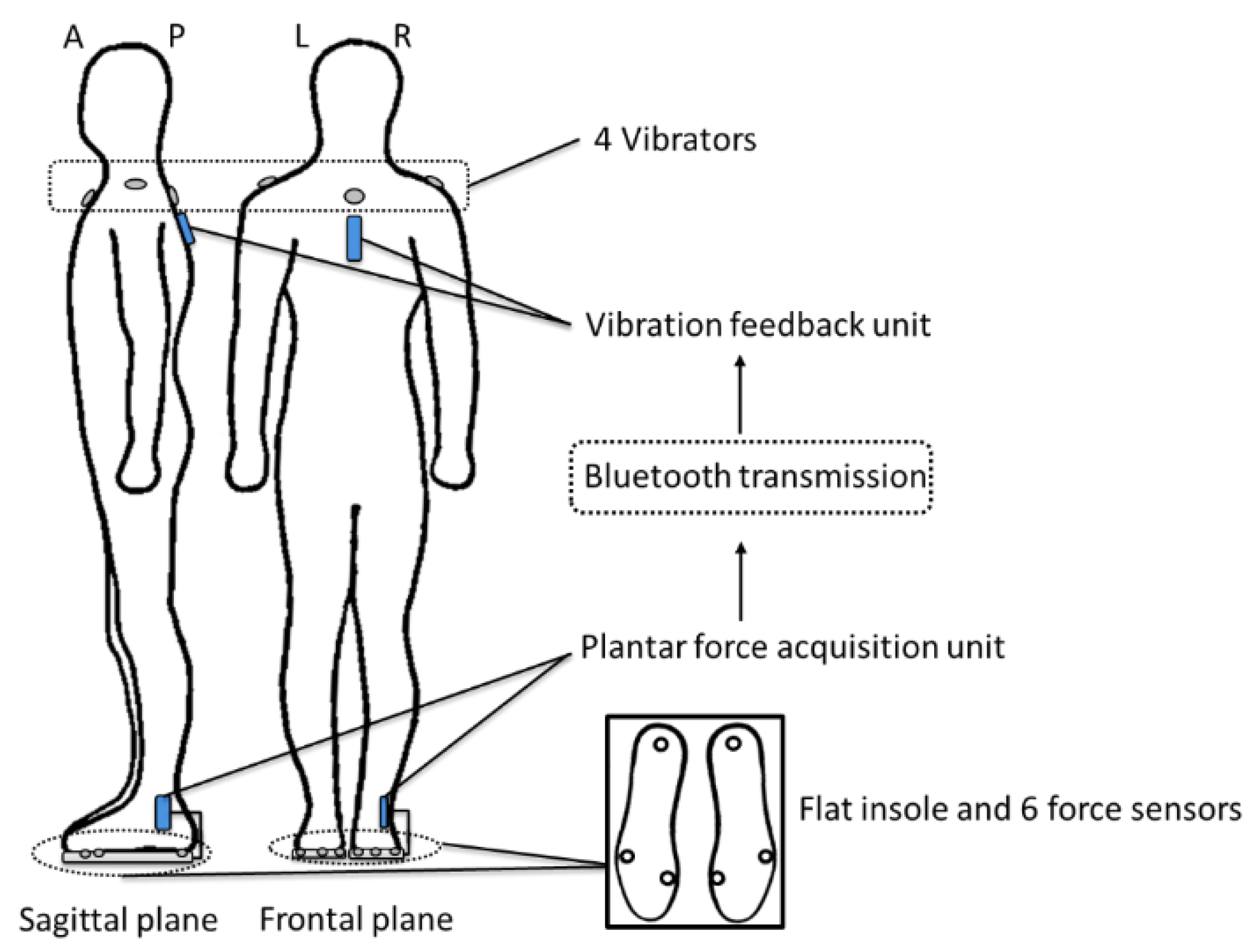 Sensors 15 29883 g001