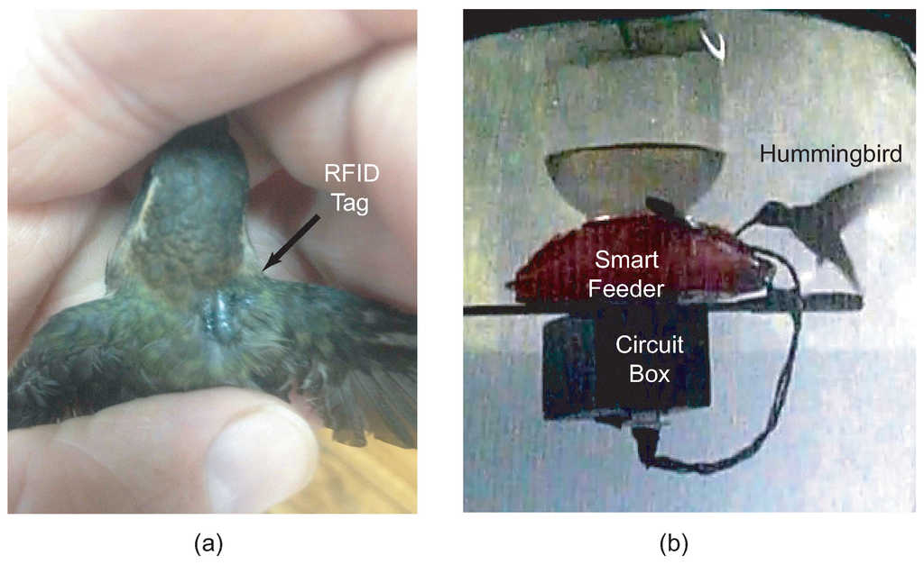 Sensors 15 29886 g008 1024