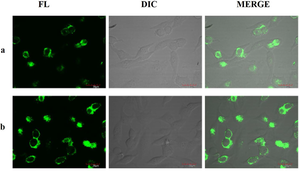 Sensors 15 29902 g003 1024