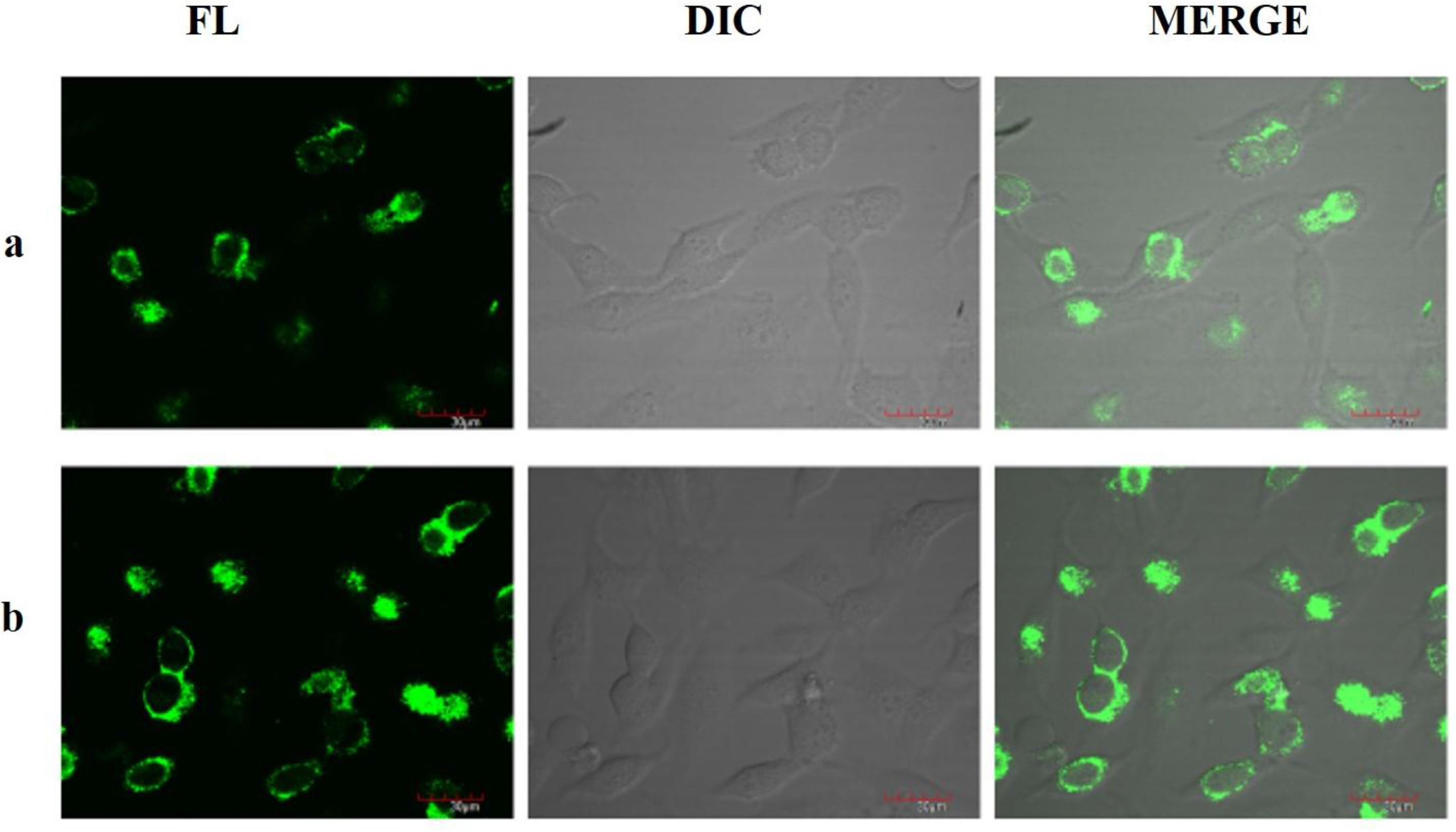 Sensors 15 29902 g003