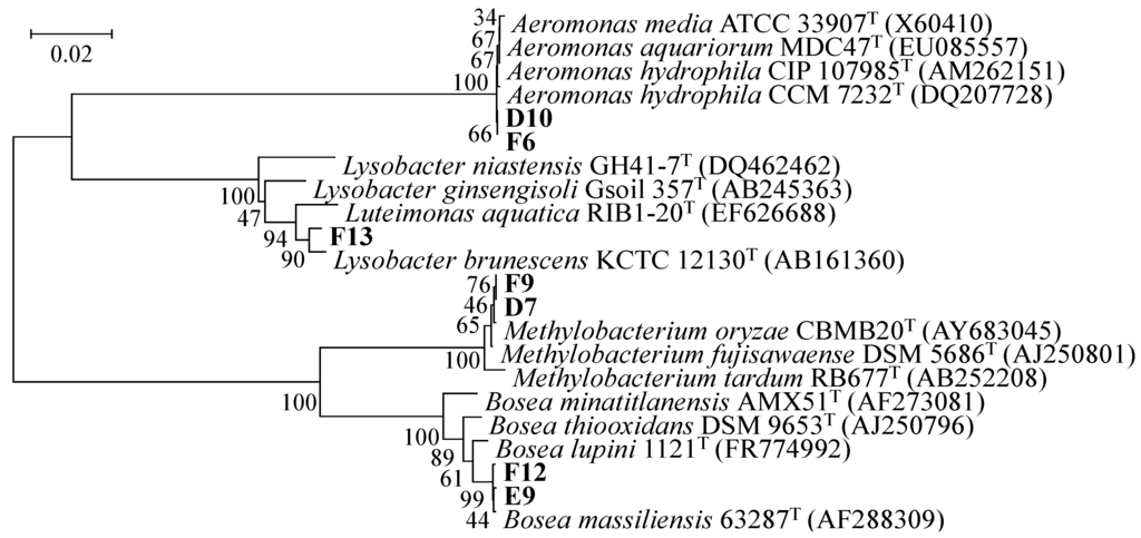 Sensors 16 00044 g001 1024