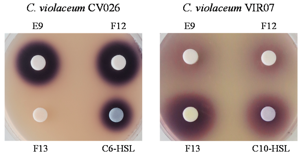 Sensors 16 00044 g002 1024