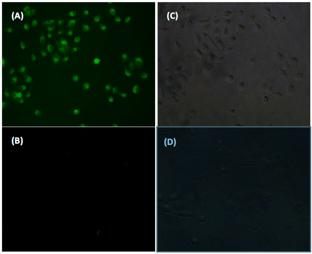 Sensors 16 00079 g010 1024