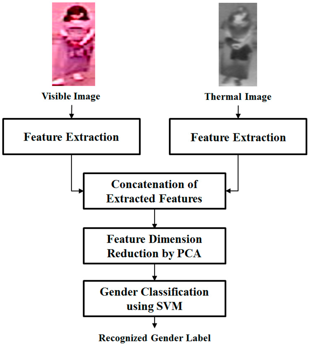 Sensors 16 00156 g002 1024