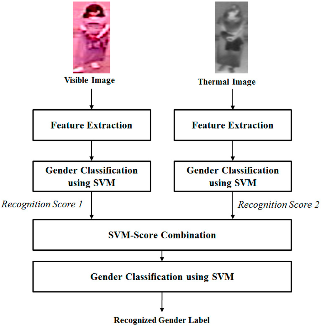 Sensors 16 00156 g003 1024