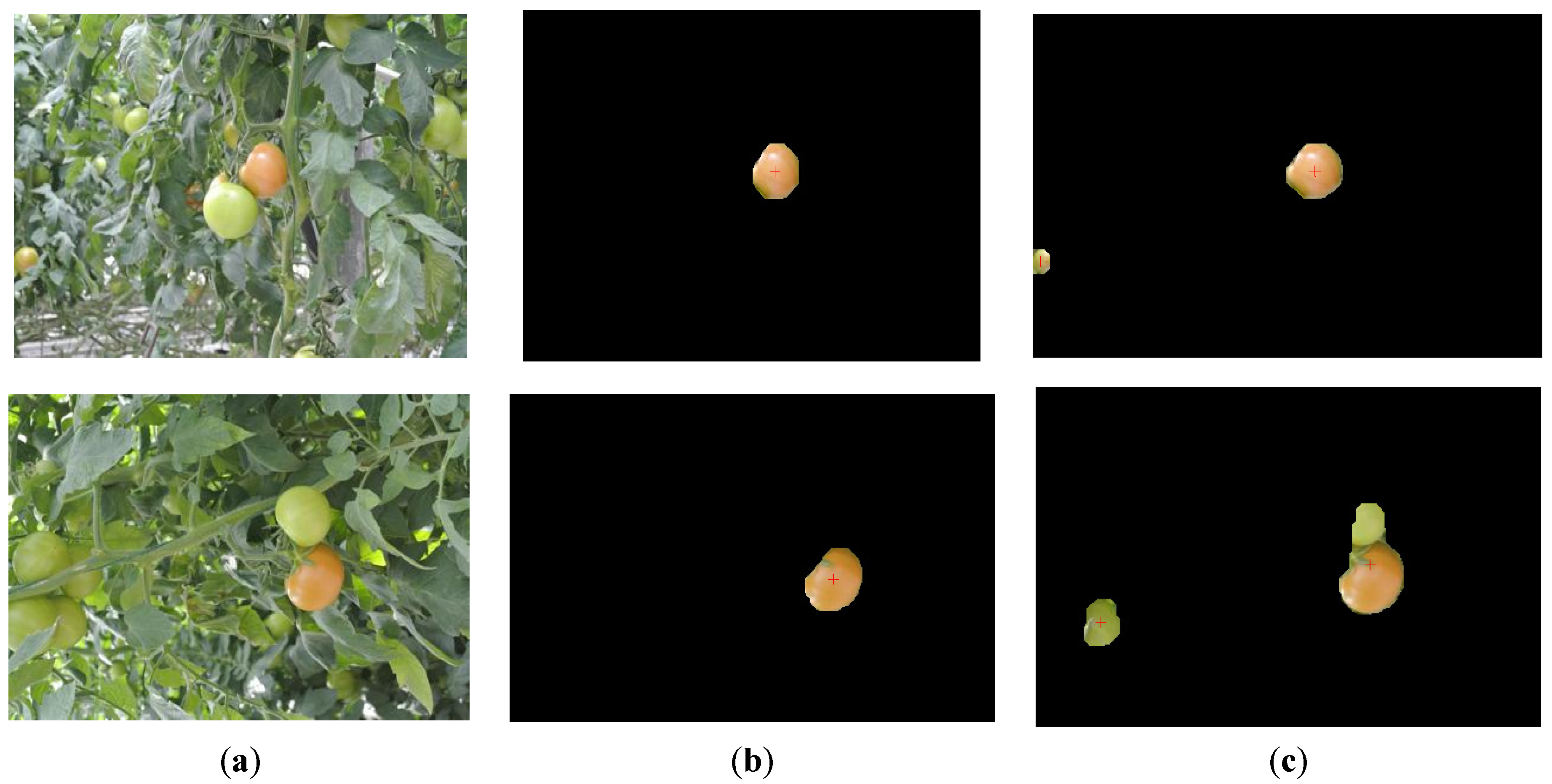 Sensors 16 00173 g005