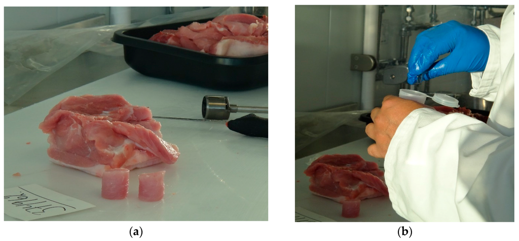 Sensors 16 00182 g004 1024