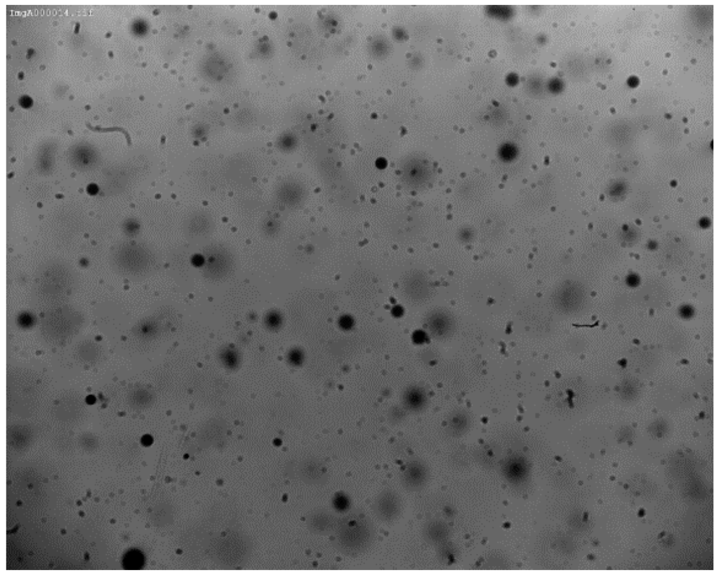 Sensors 16 00218 g001 1024