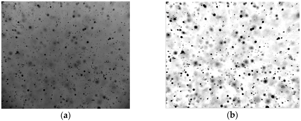 Sensors 16 00218 g015 1024