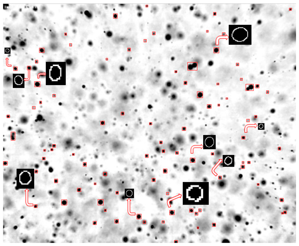 Sensors 16 00218 g017 1024