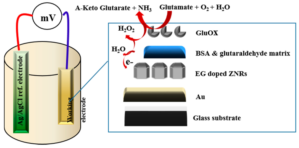 Sensors 16 00222 g012 1024