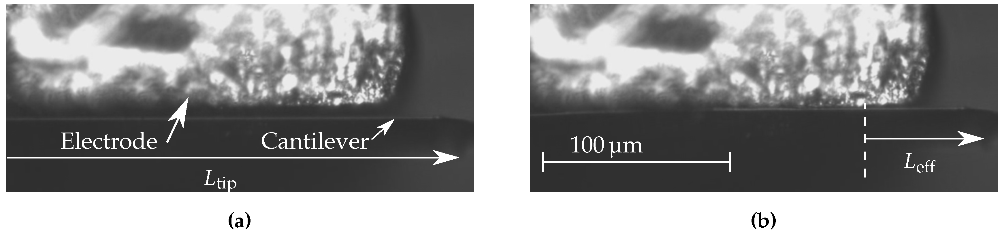 Sensors 16 00523 g007