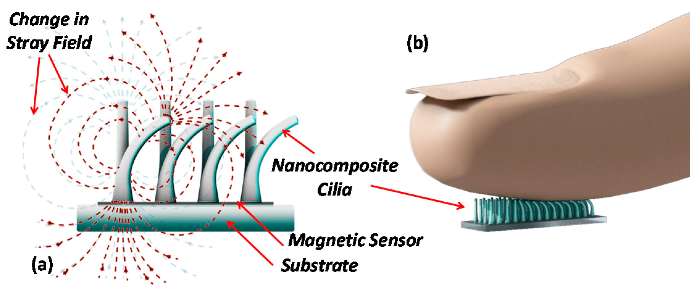 Sensors 16 00650 g001