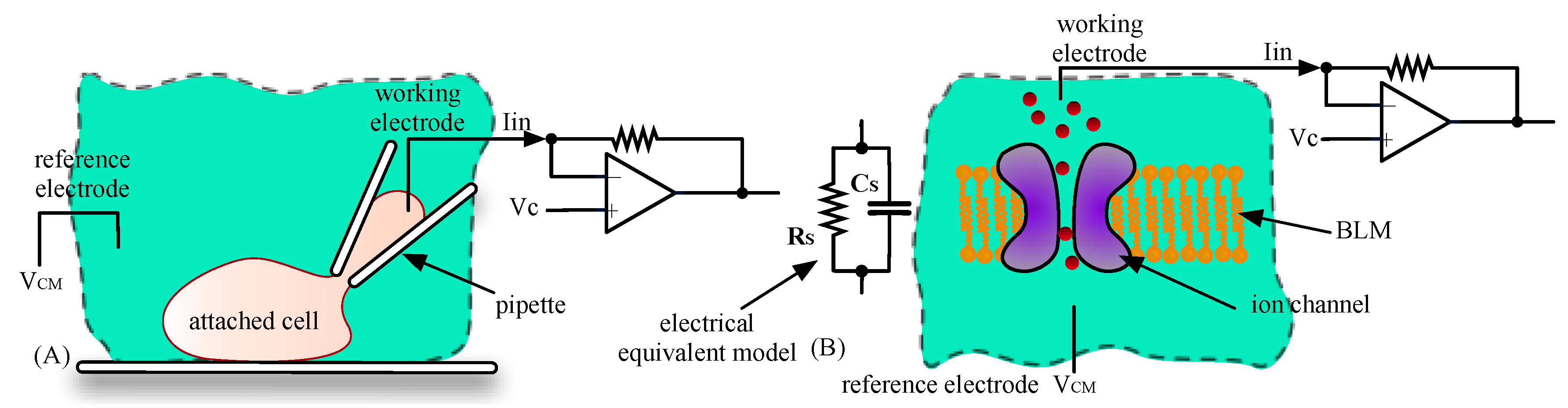 Sensors 16 00709 g001