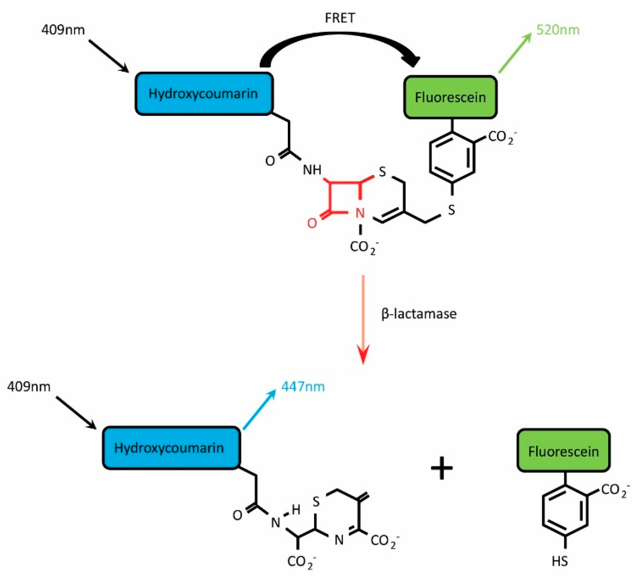 Sensors 16 00950 g001