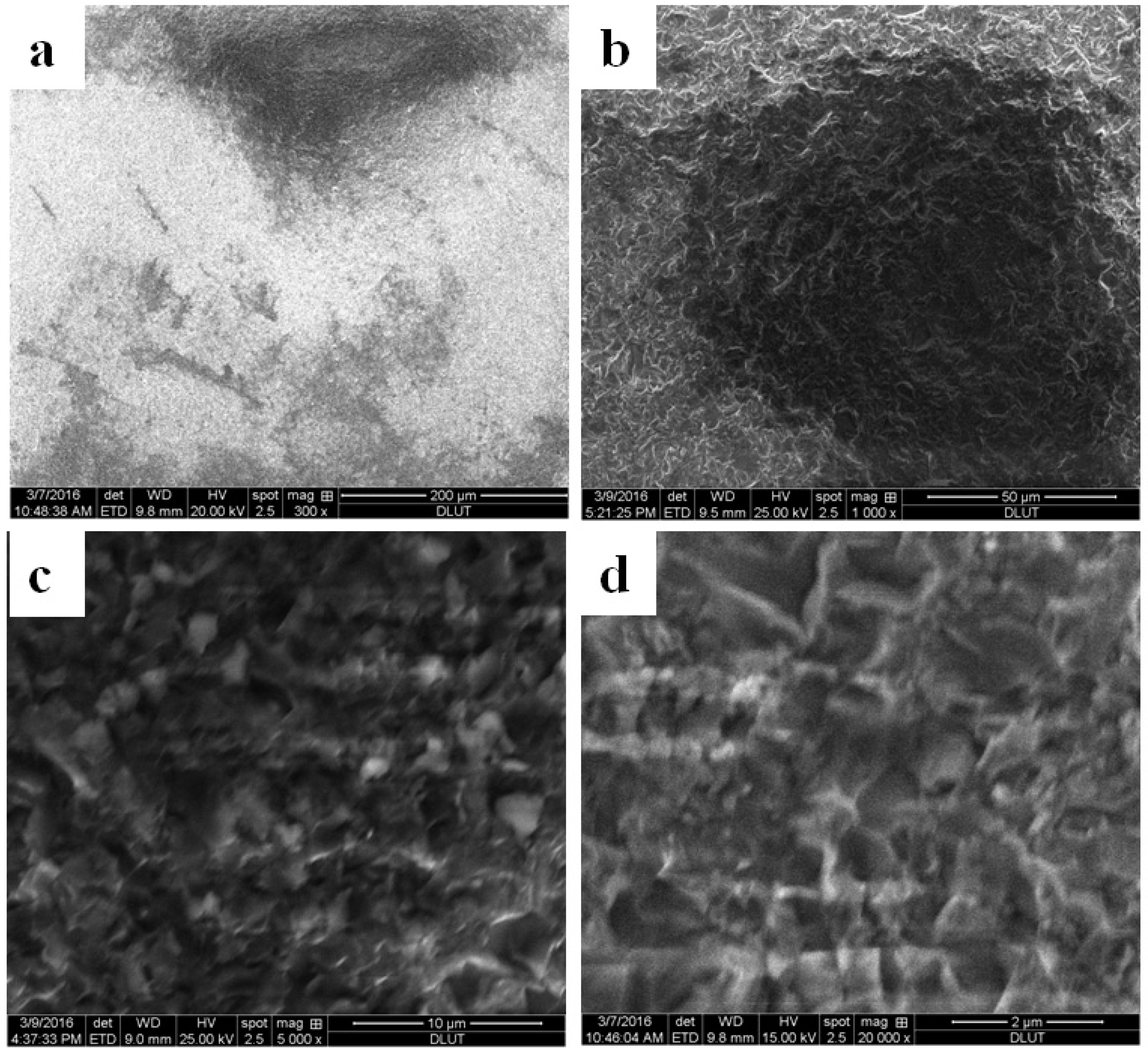 Sensors 16 01060 g007