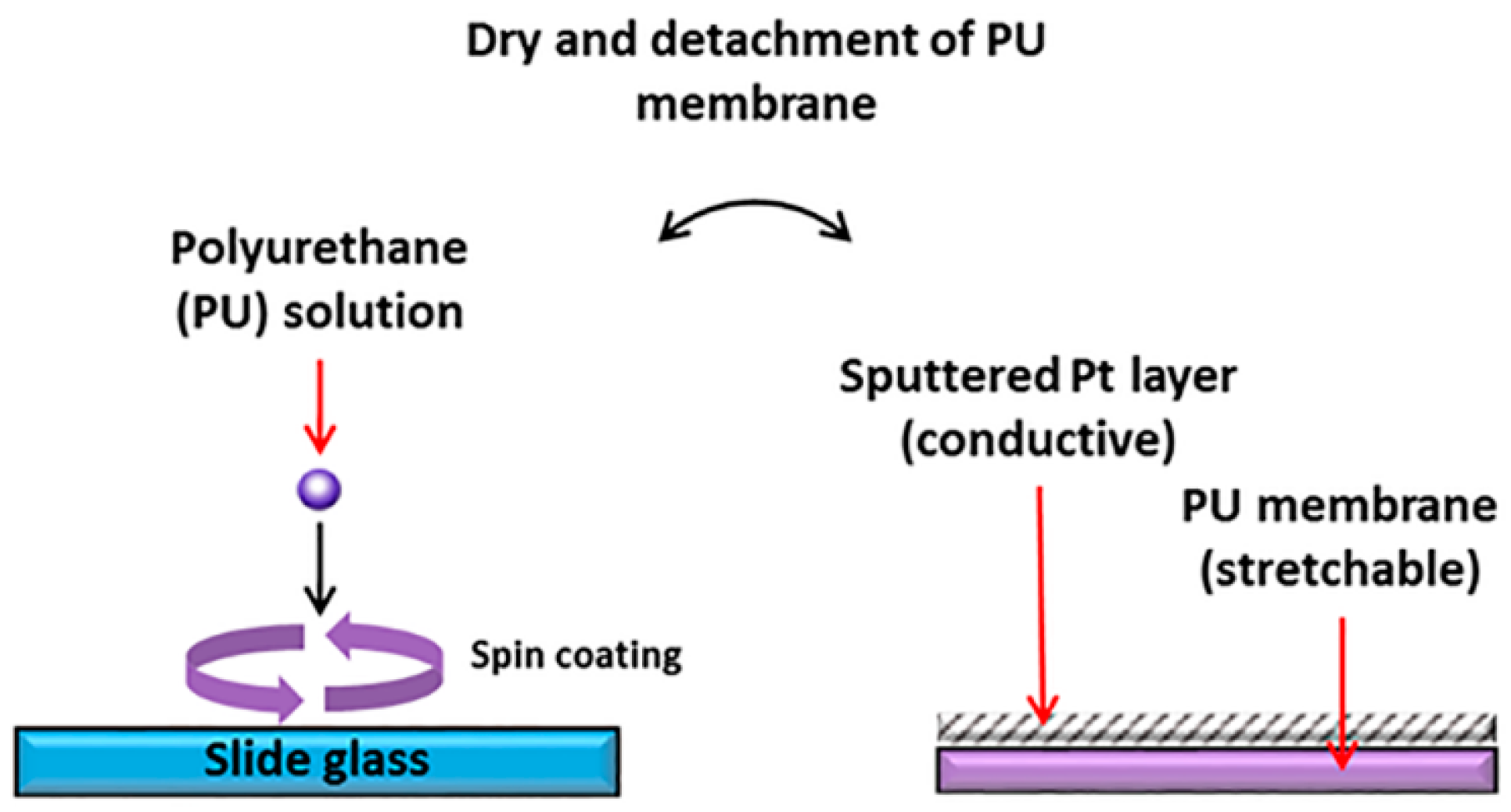 Sensors 16 01114 g002