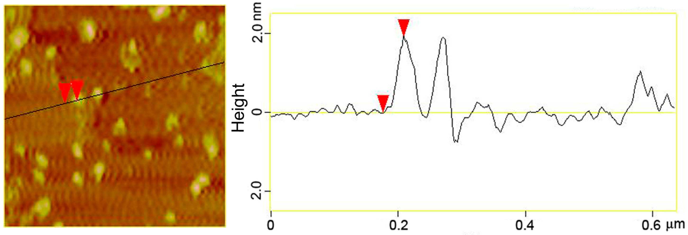 Sensors 16 01124 g002