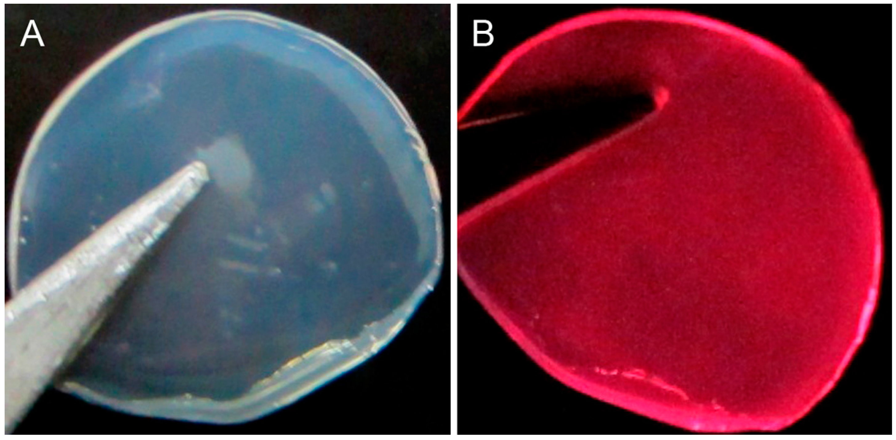 Sensors 16 01124 g008