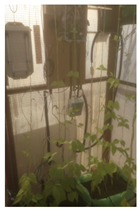 Sensors 16 01141 i015