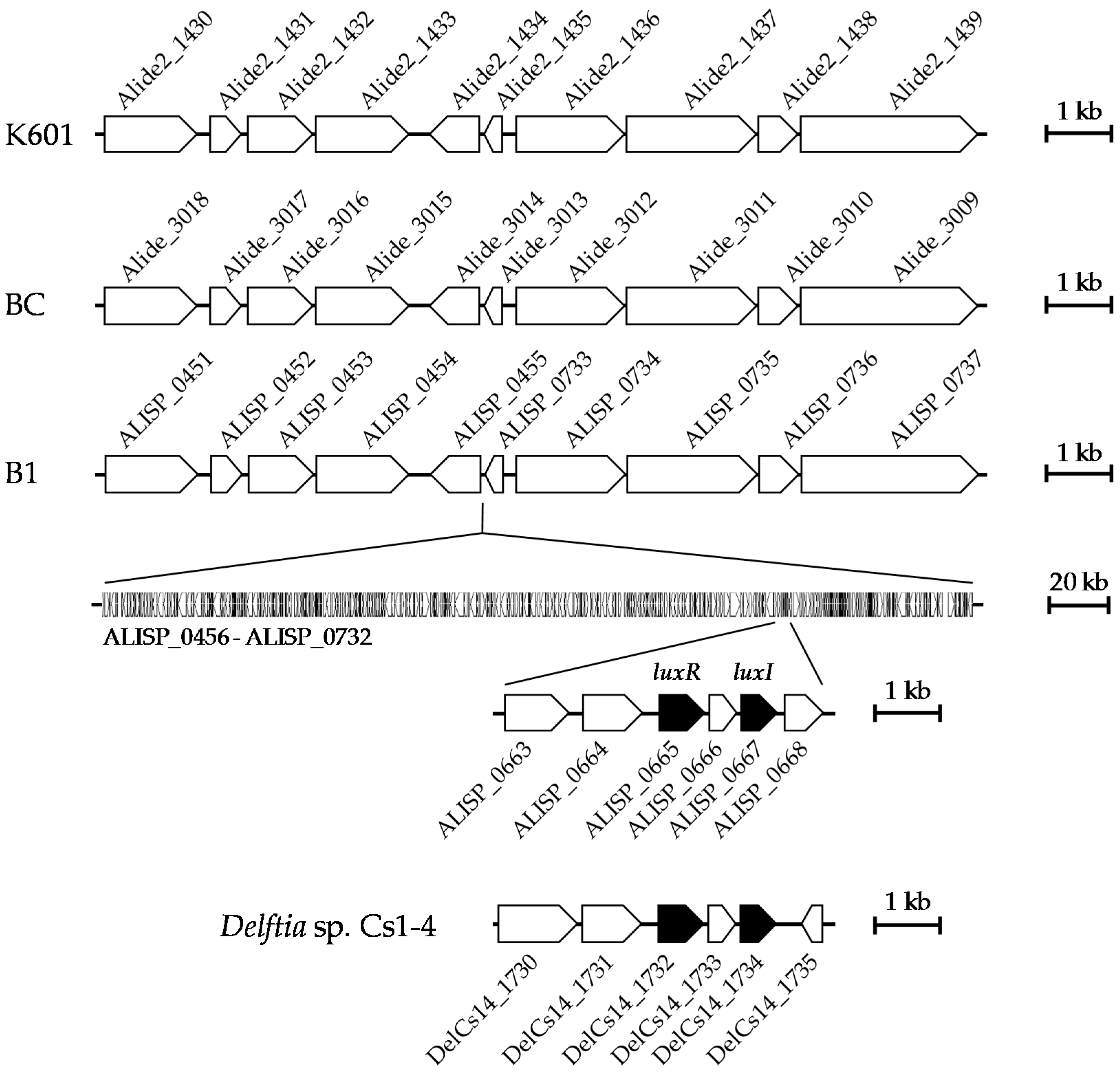 Sensors 16 01218 g003