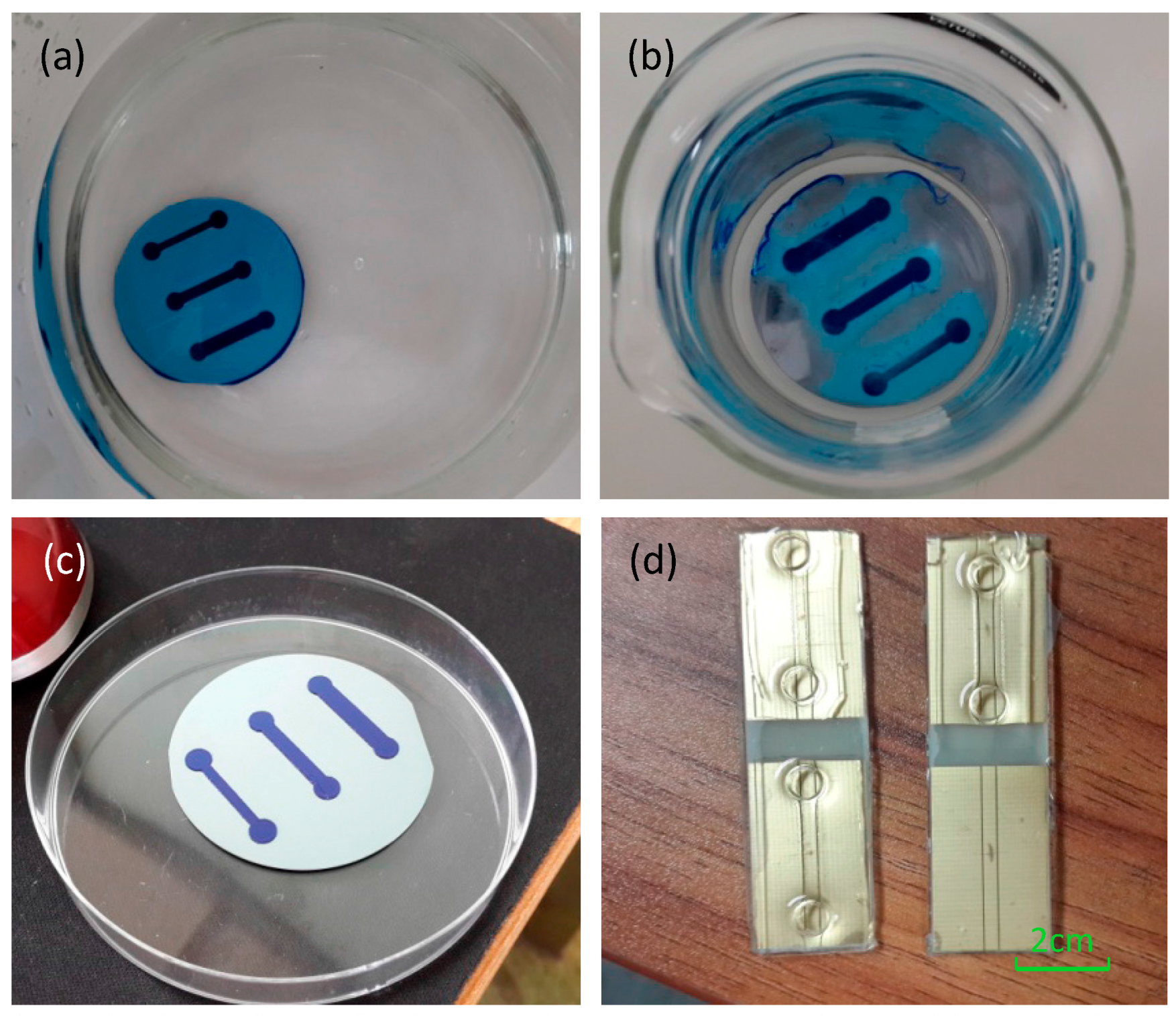 Sensors 16 01234 g002