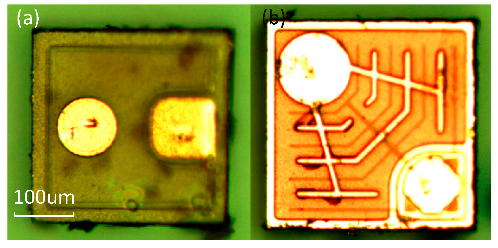 Sensors 16 01234 g003