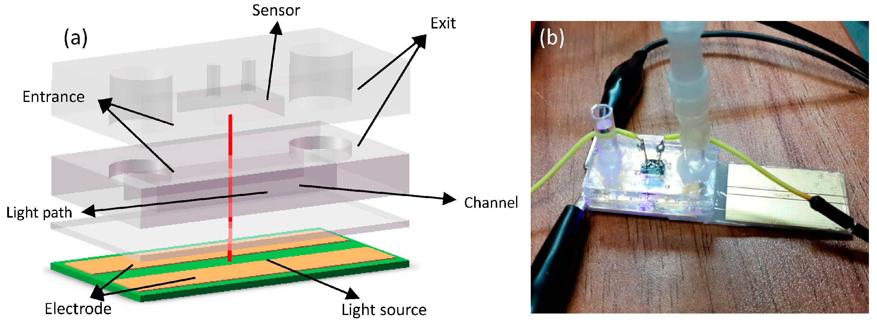 Sensors 16 01234 g004