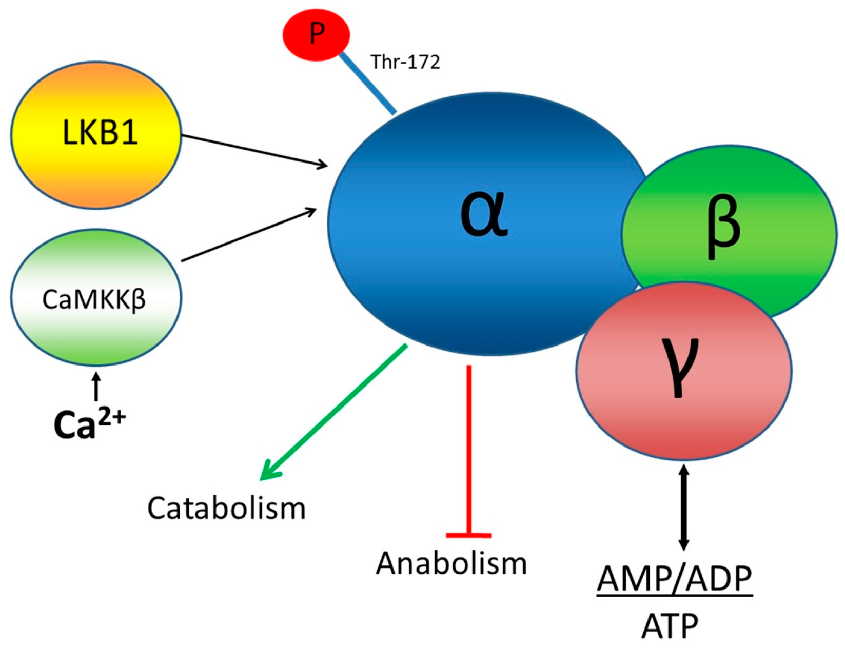 Sensors 16 01312 g001