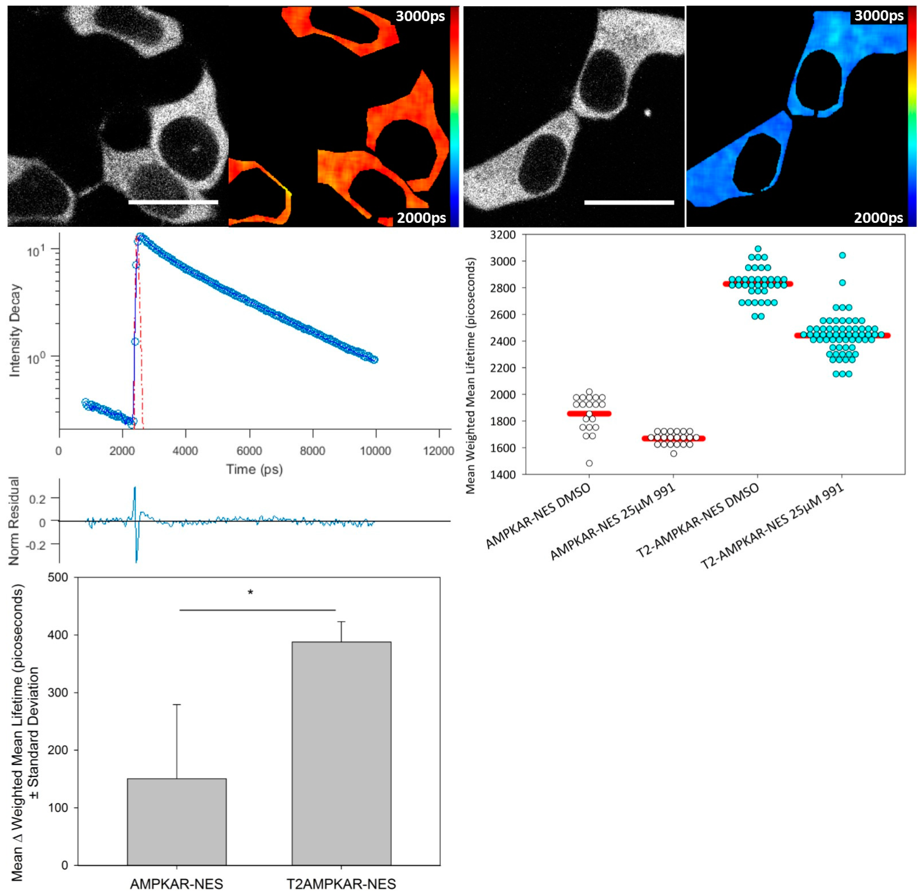 Sensors 16 01312 g002