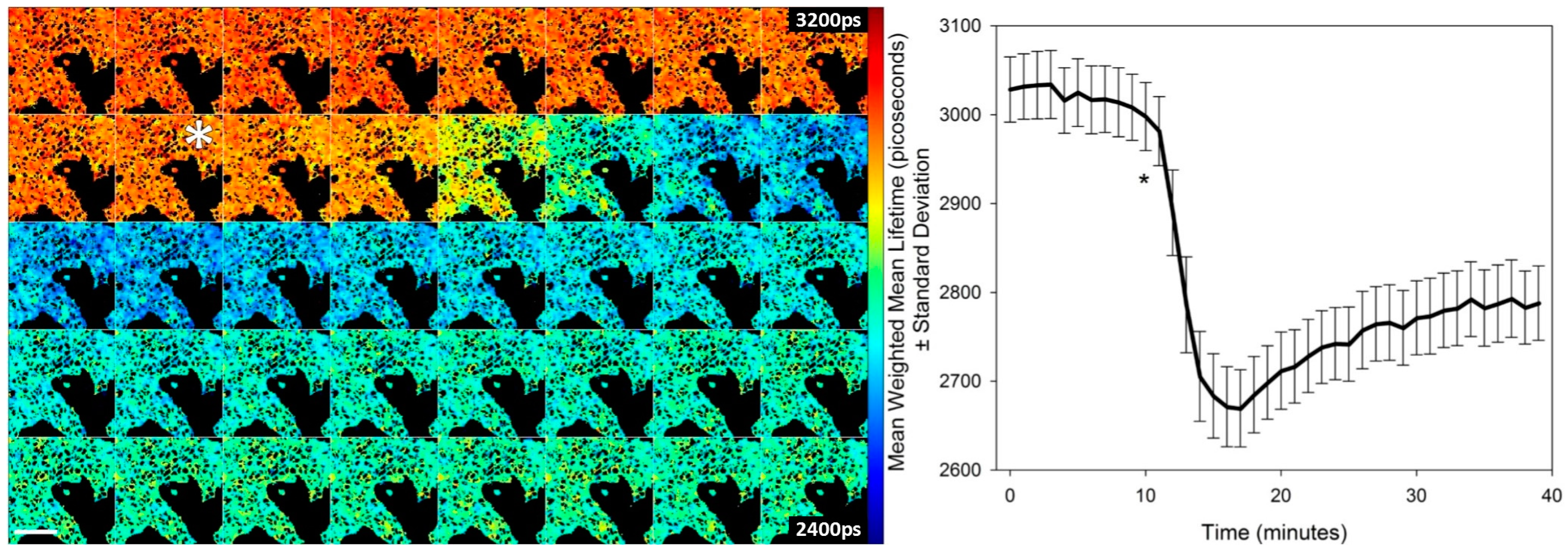 Sensors 16 01312 g003