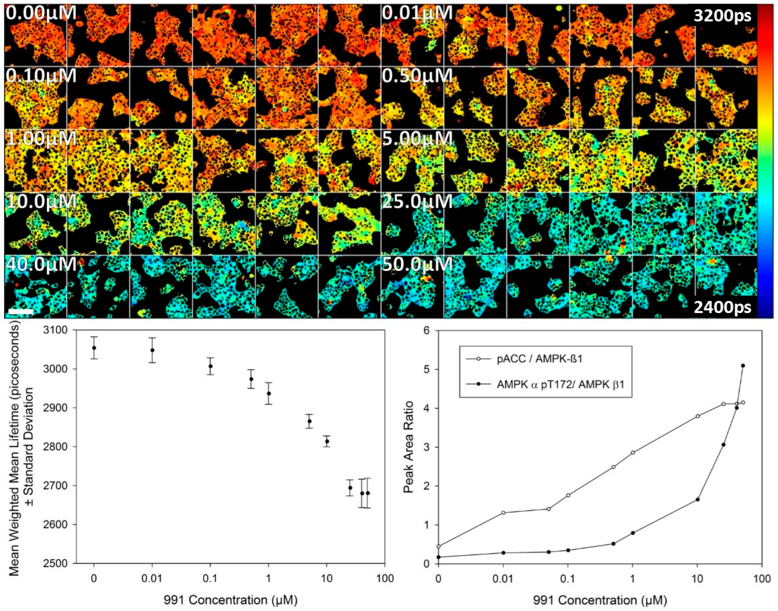 Sensors 16 01312 g004