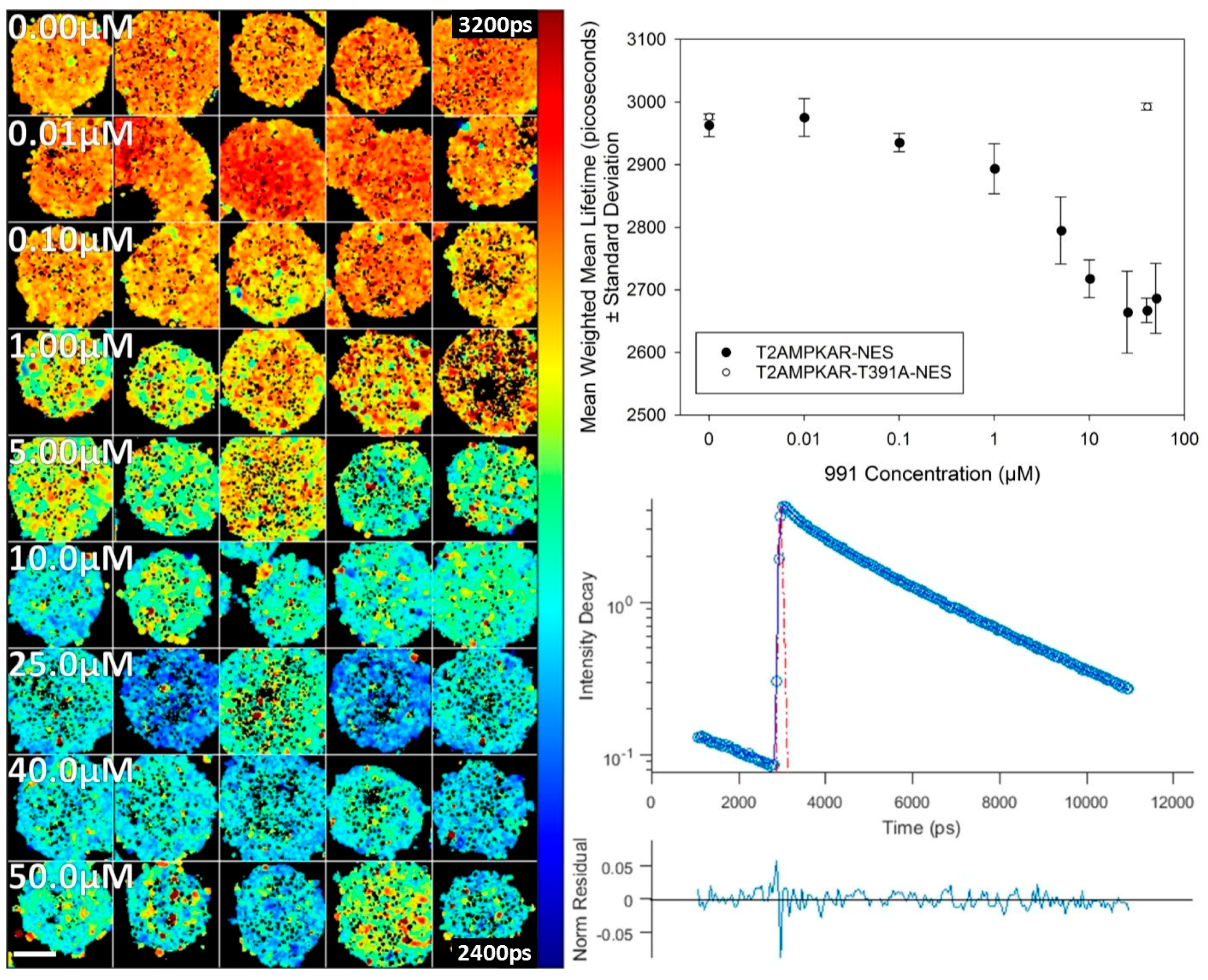 Sensors 16 01312 g006