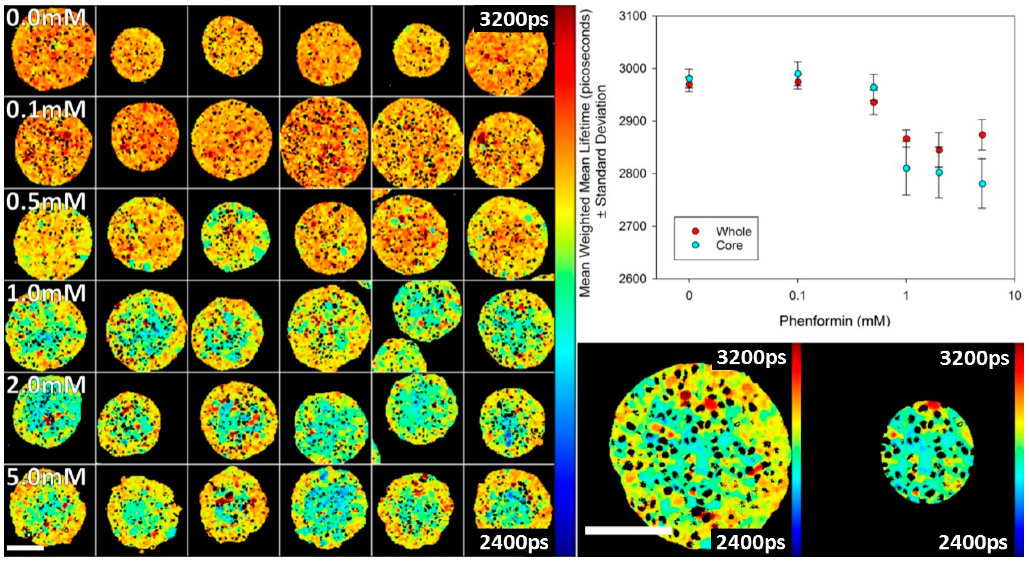 Sensors 16 01312 g007