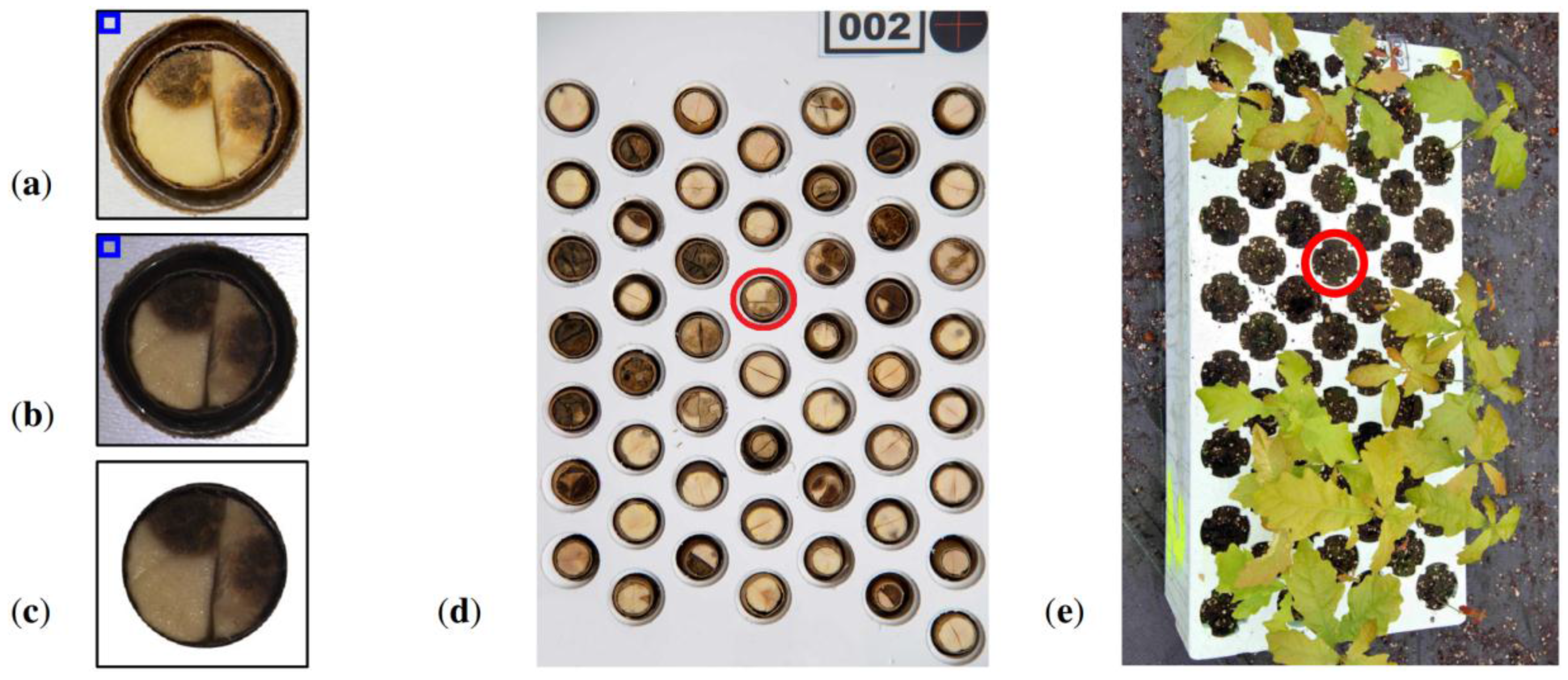 Sensors 16 01319 g001