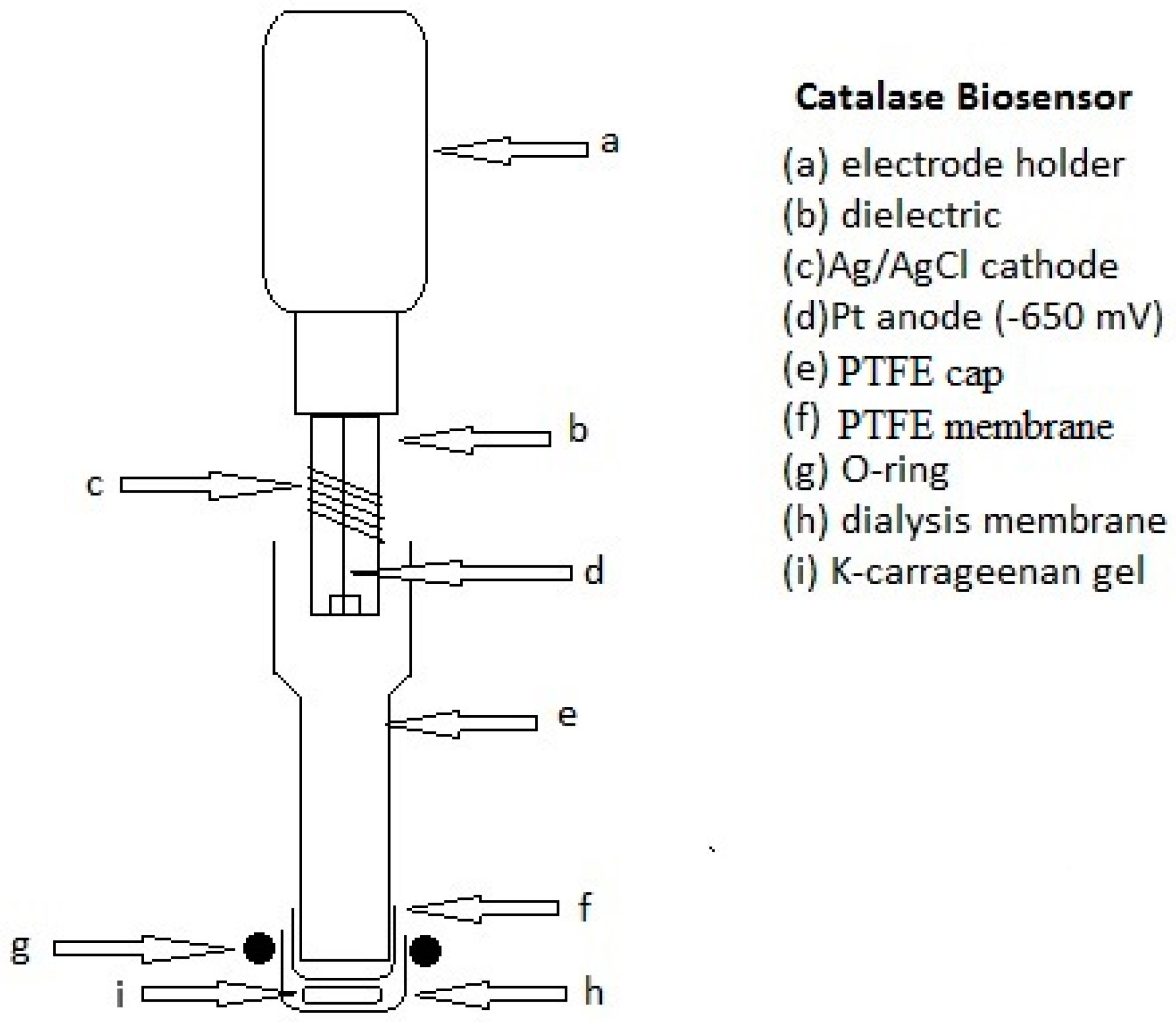Sensors 16 01355 g001
