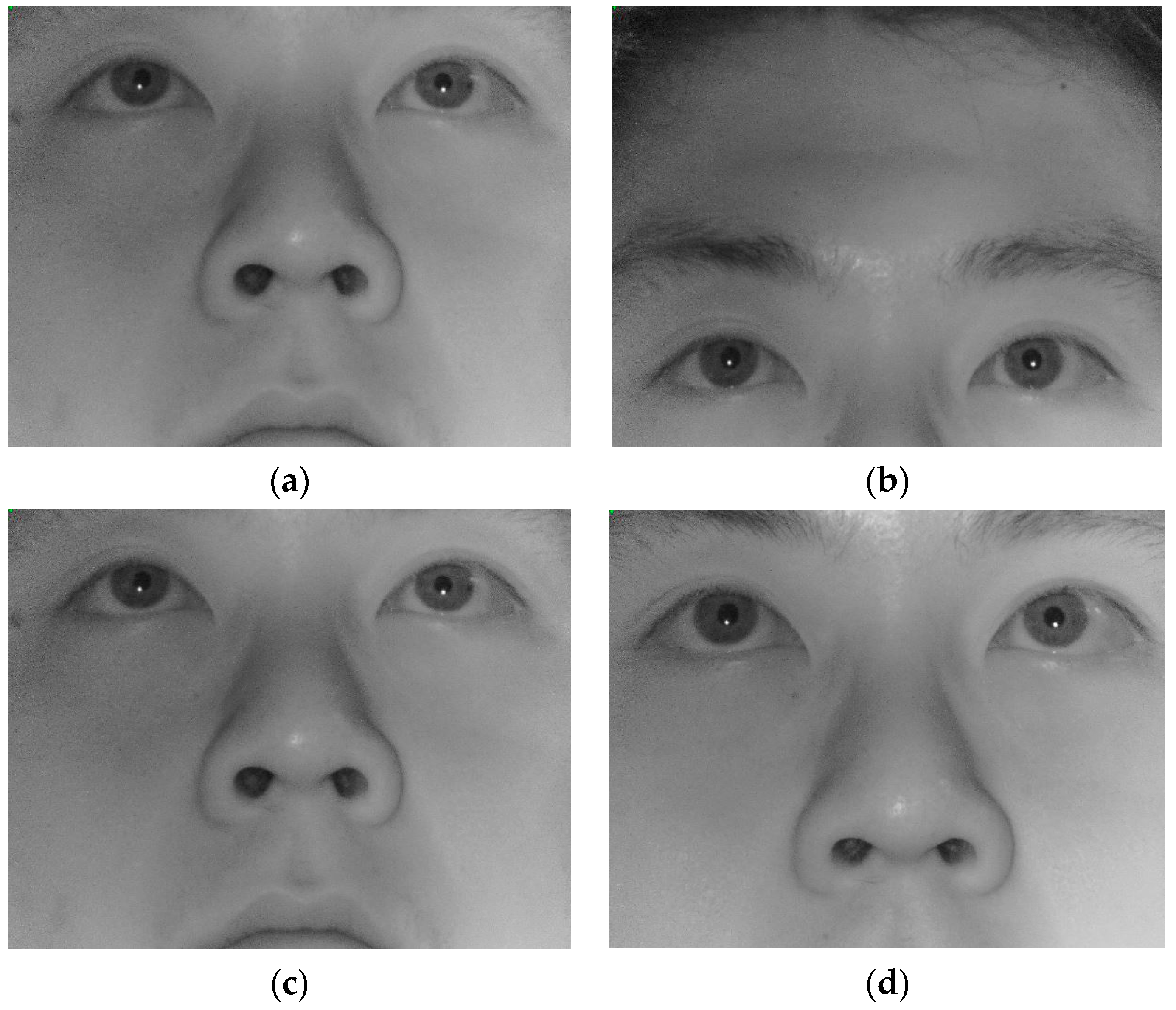 Sensors 16 01396 g011