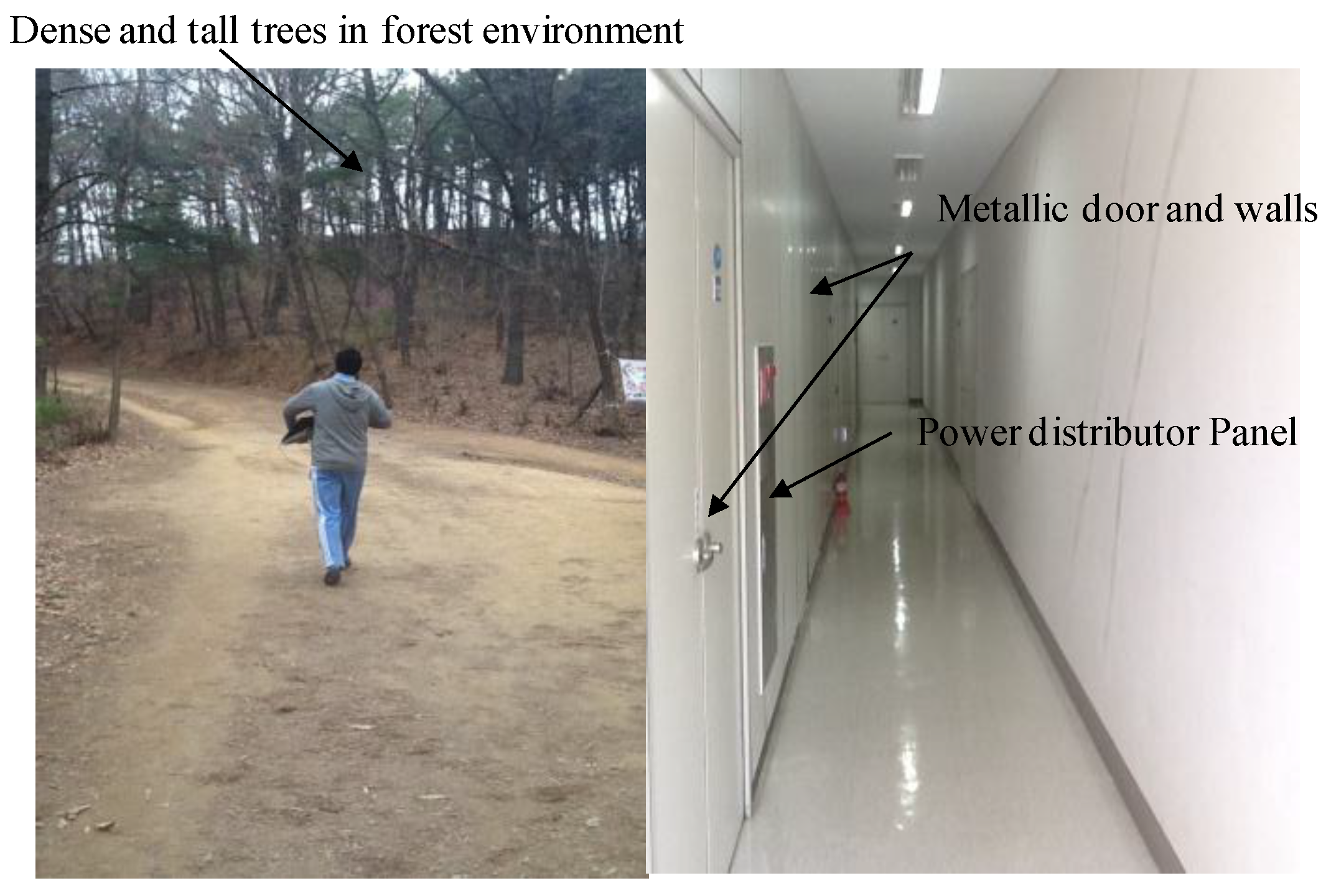Sensors 16 01455 g011