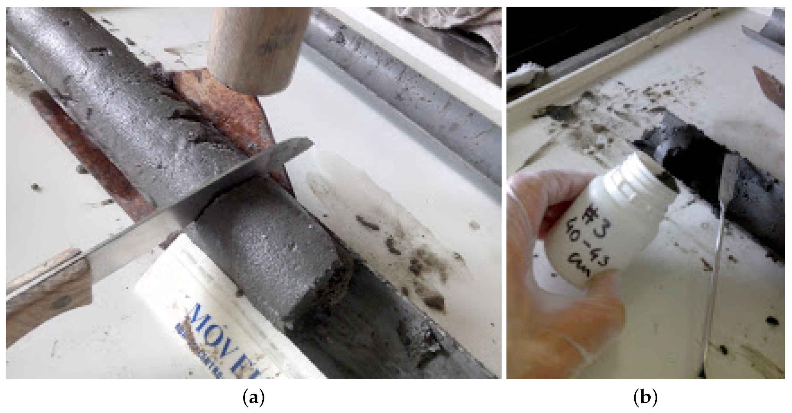 Sensors 16 01461 g021