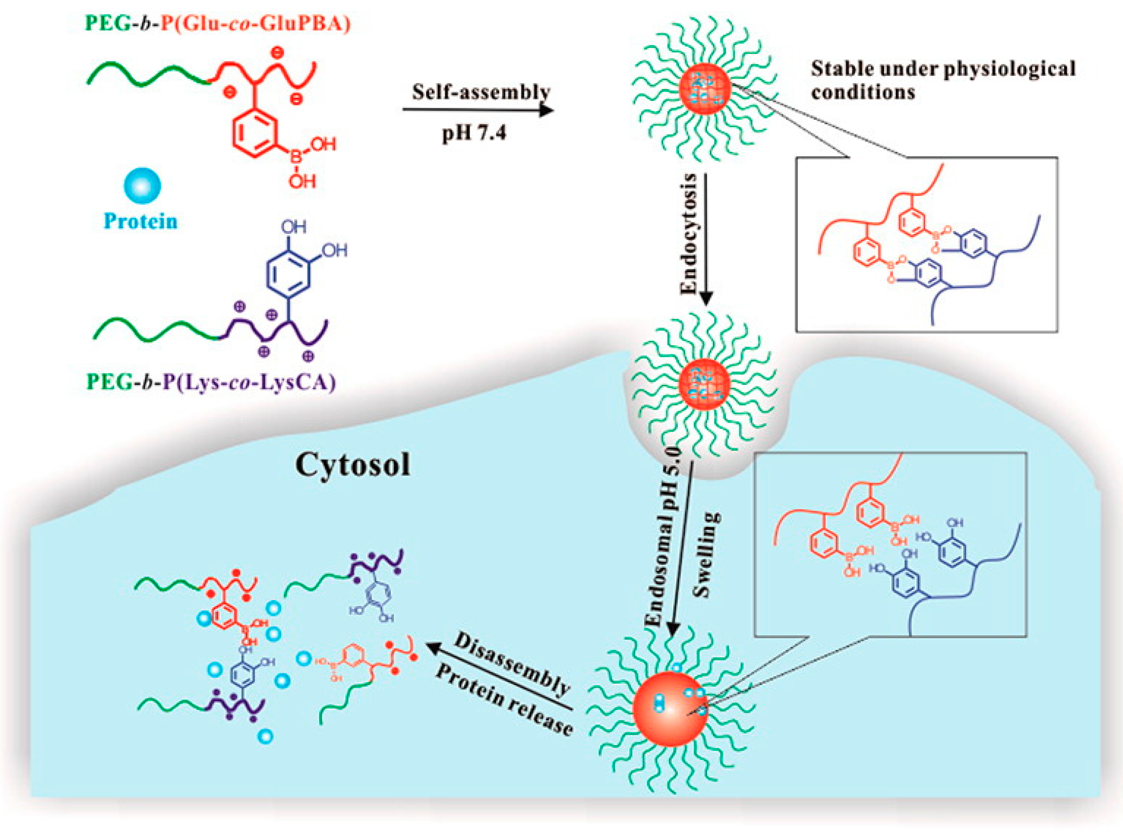 Sensors 16 01736 g007