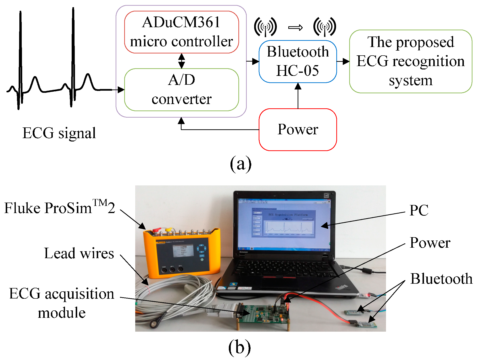 Sensors 16 01744 g007