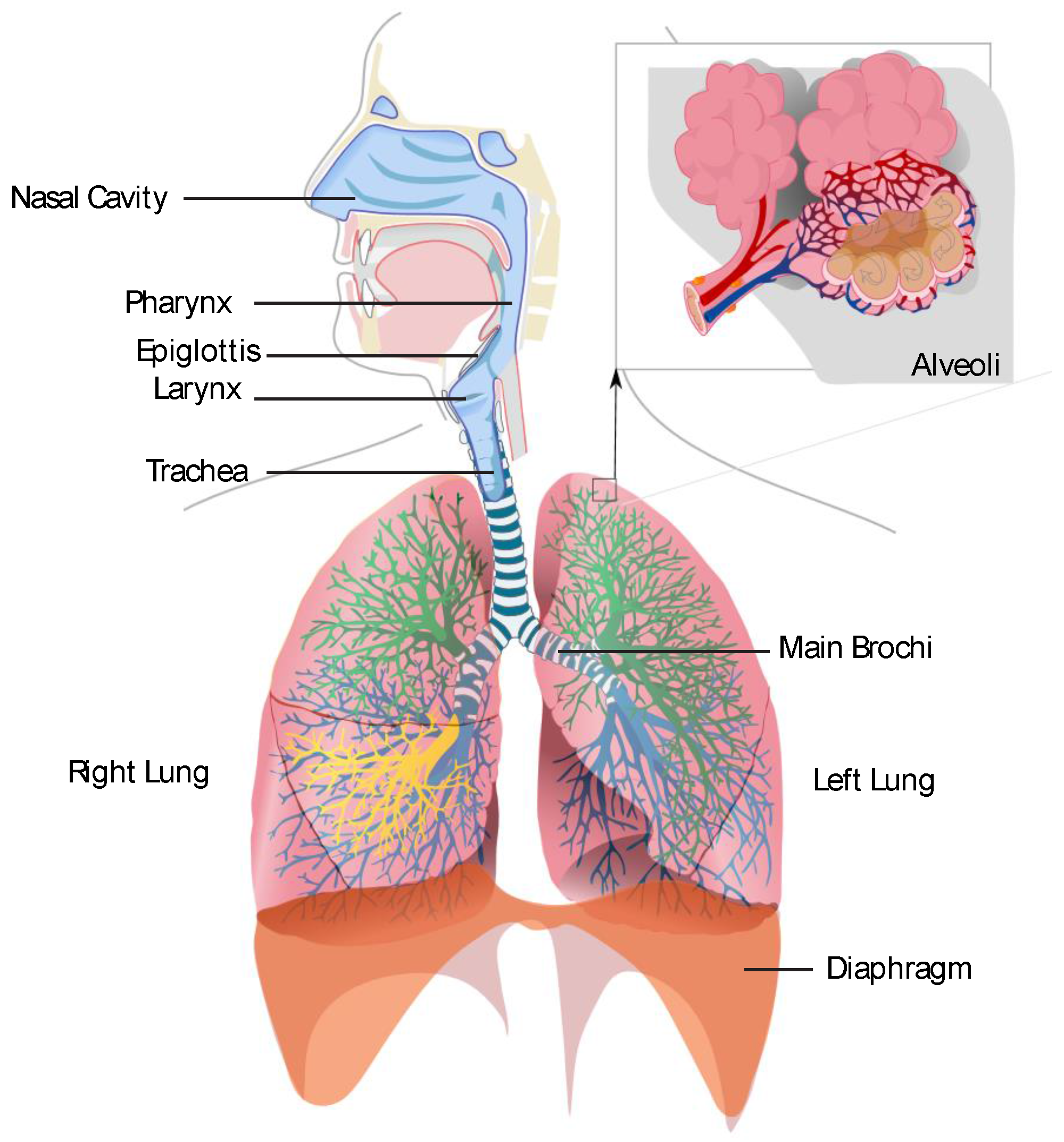 Sensors 16 01815 g001