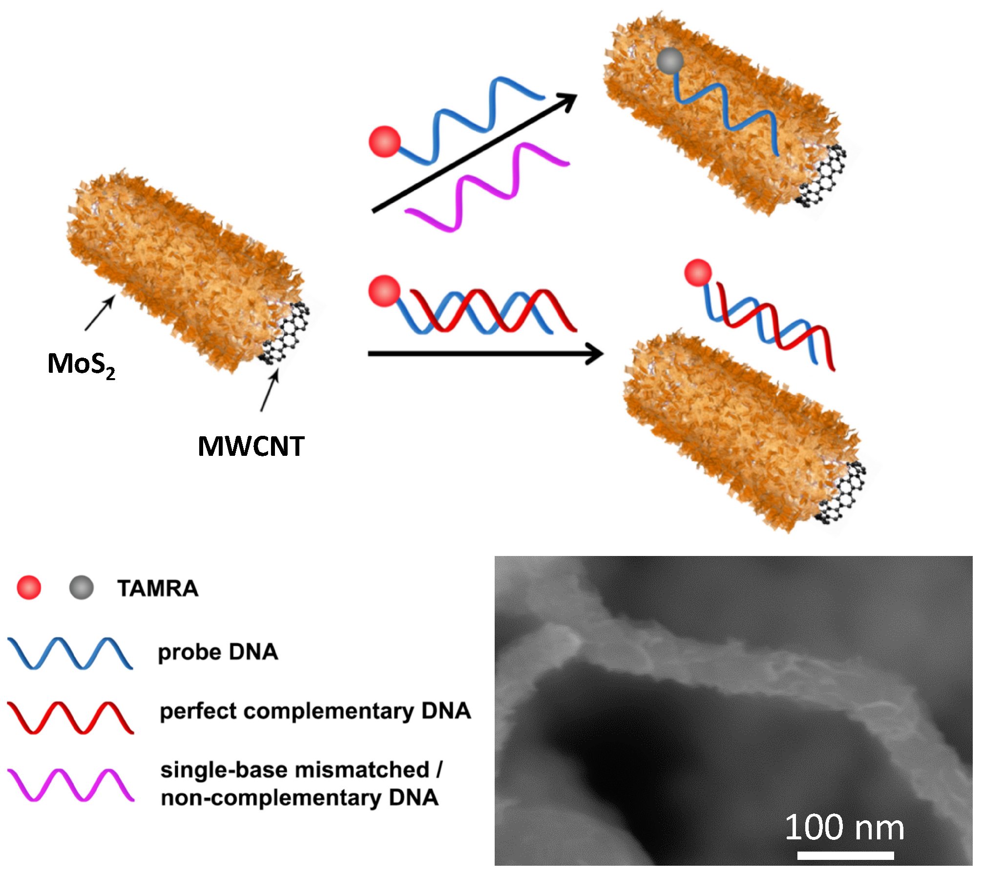 Sensors 16 01911 g001